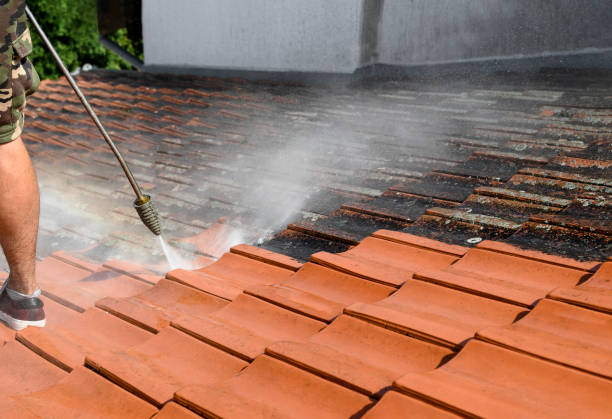 Best Roof Power Washing Services  in Rochester Hills, MI